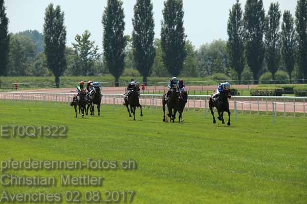 ET0Q1322 prot